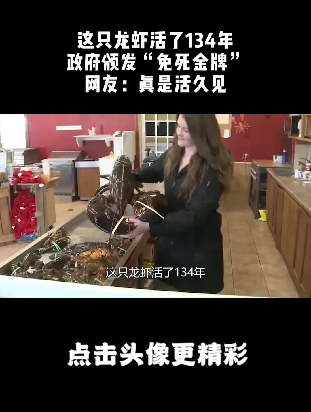 这只龙虾活了134年,政府颁发“免死金牌”,网友:真是活久见