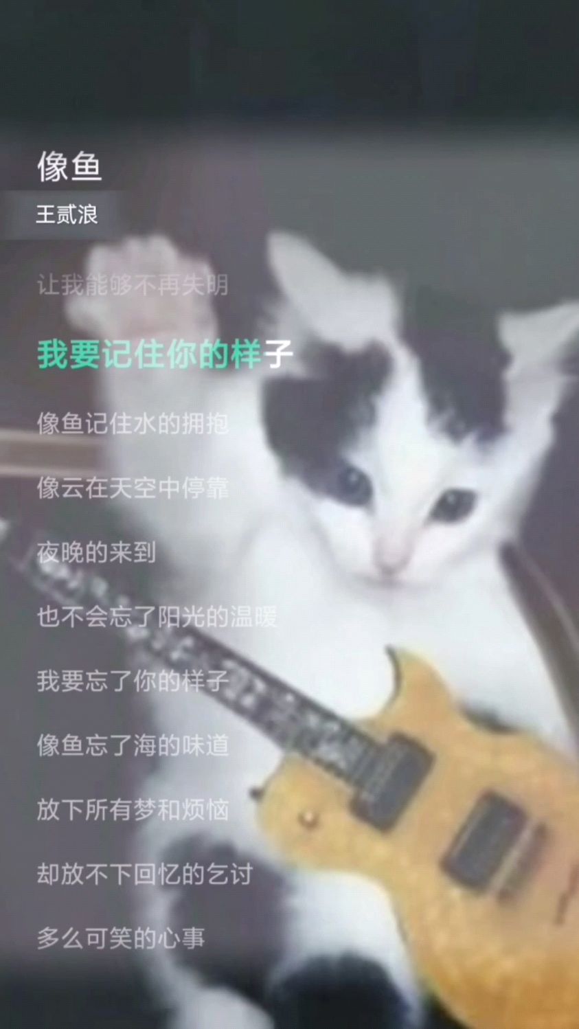 《像鱼》#音乐歌词