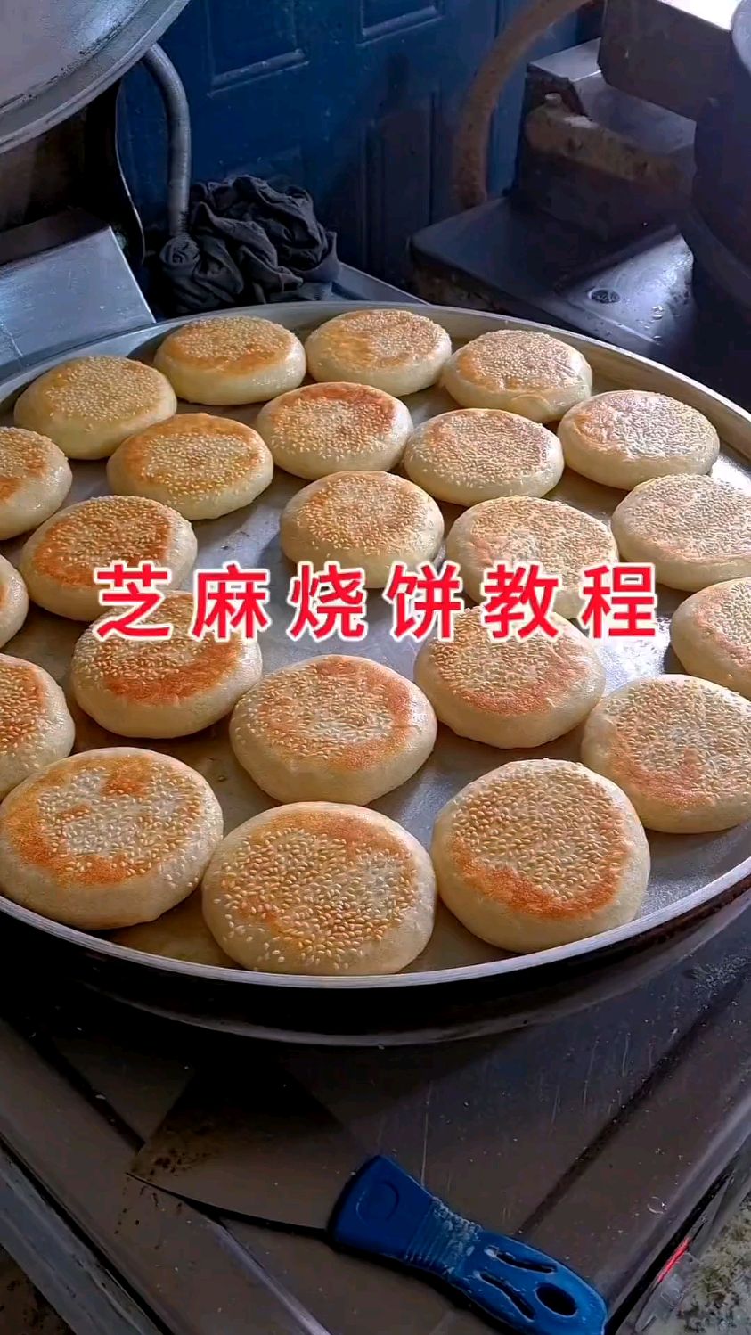 今天教大家做一个芝麻烧饼