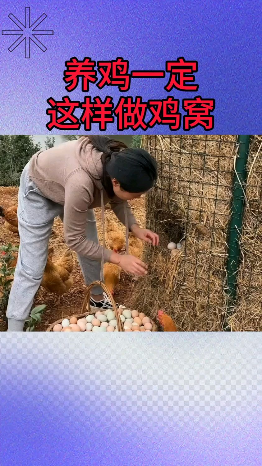 养鸡一定这样做鸡窝