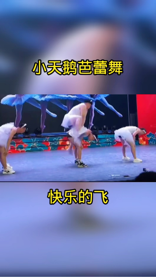 小天鹅芭蕾舞,快乐的飞