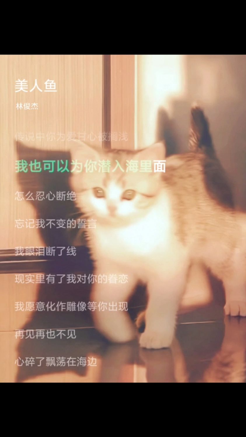 《美人鱼》#音乐歌词