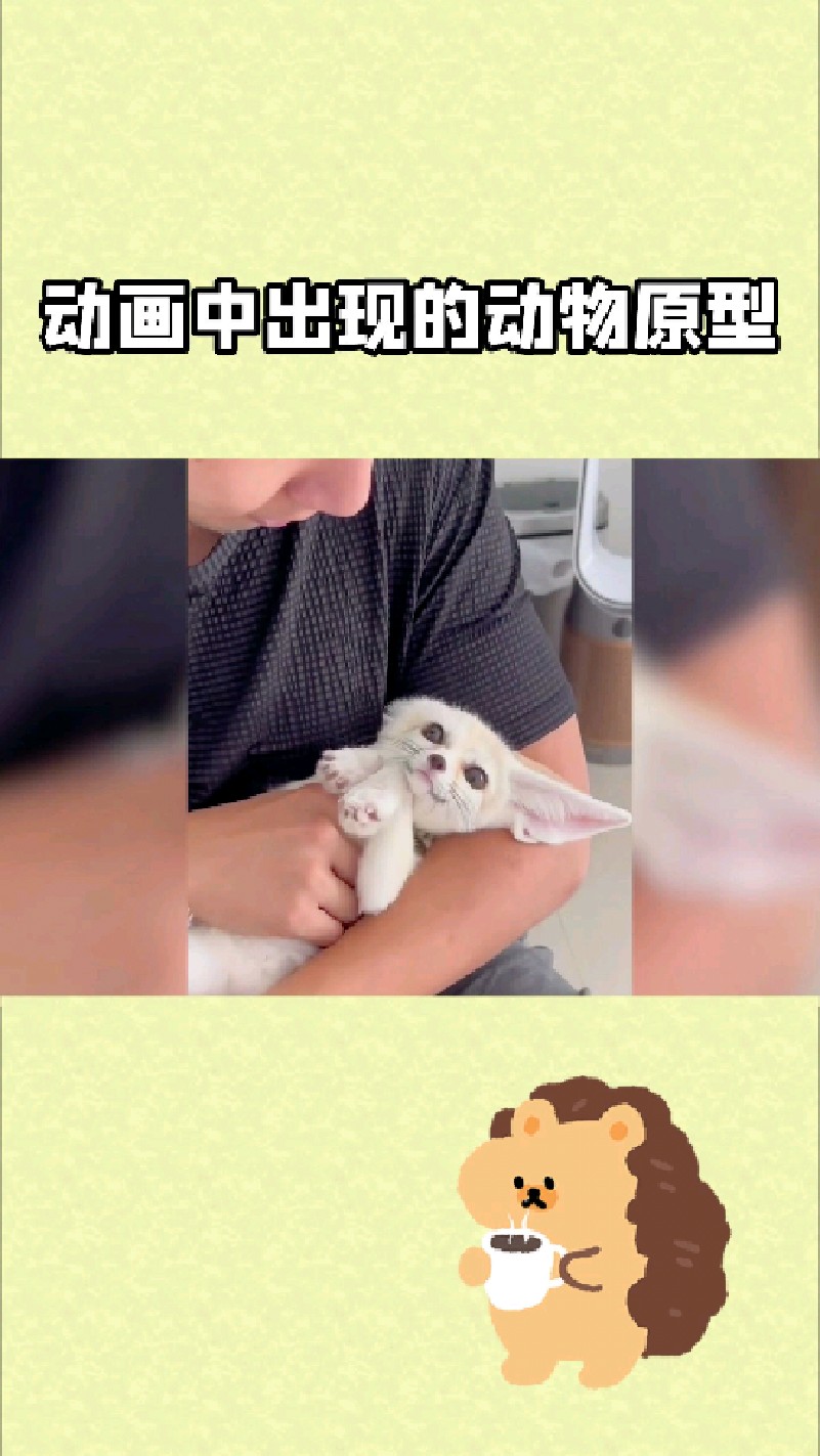 动画中的动物在现实中的原型原来是他们