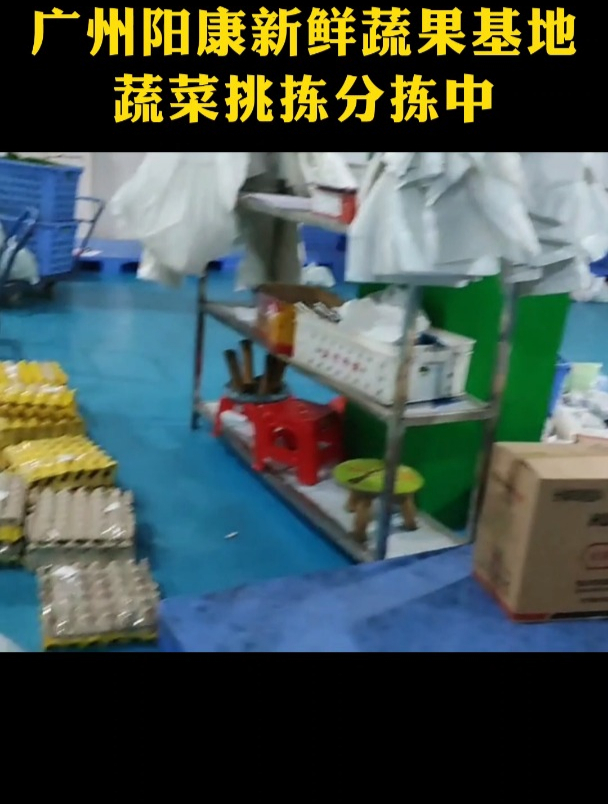 广州天河生鲜食材配送中心,食材配送中心提供靠谱的蔬菜配送