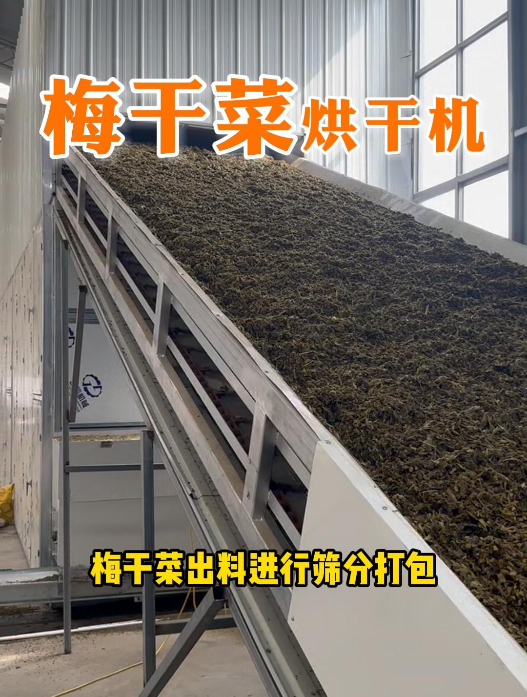 梅干菜怎样加工最挣钱