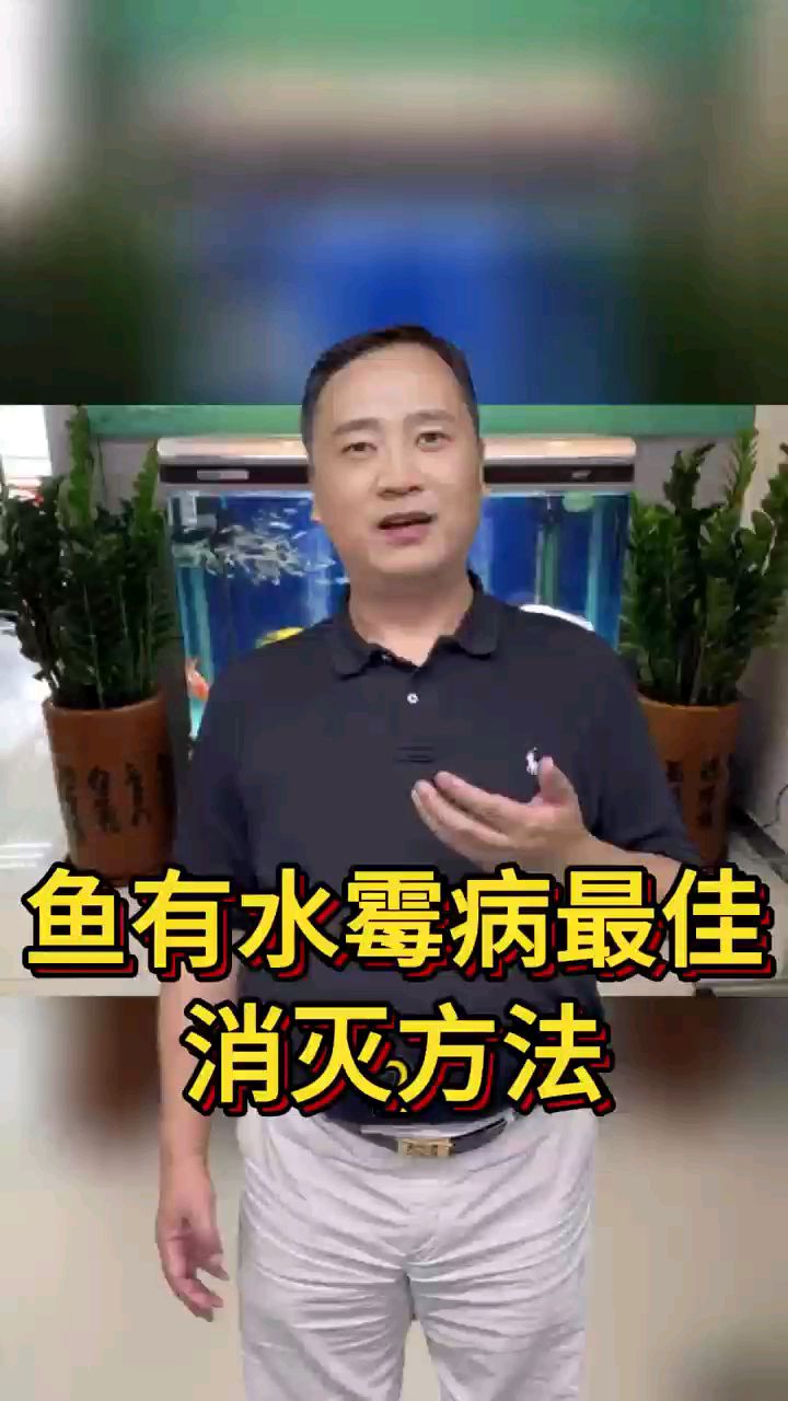 鱼有水霉病最佳消灭方法