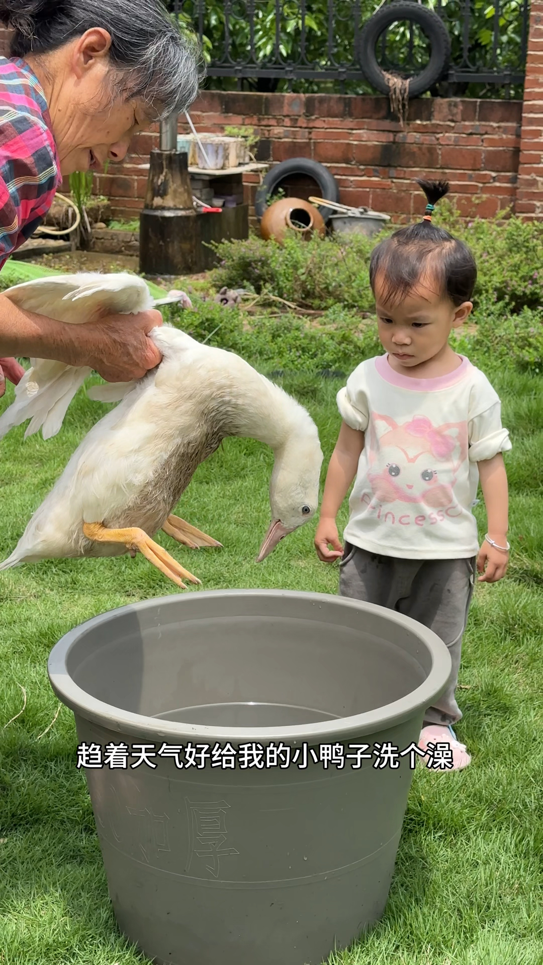 给我的小鸭子洗个澡