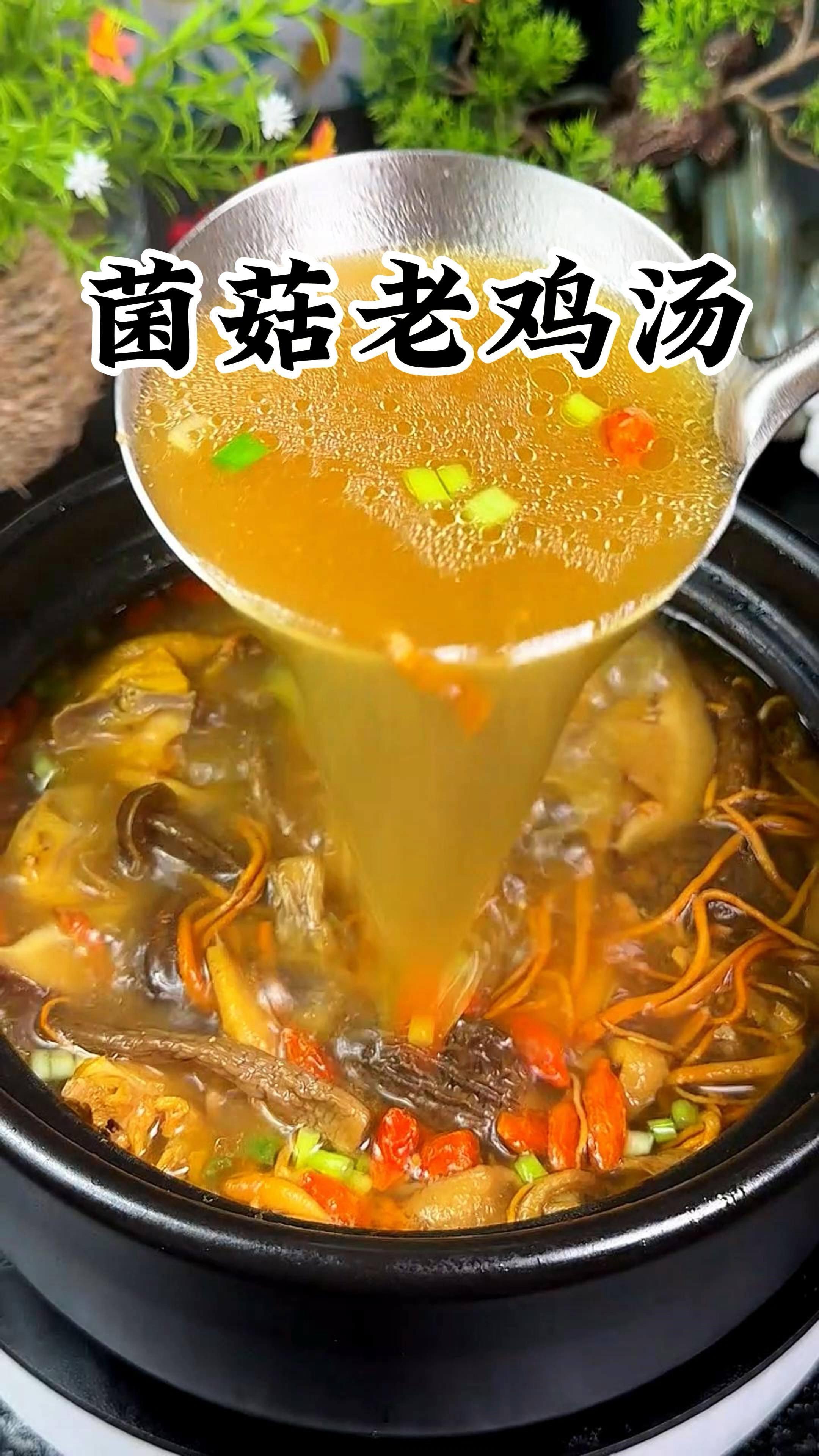 鸡汤千万不要乱放,记住用三个要点就行。煲出来的鸡汤汤鲜味美
