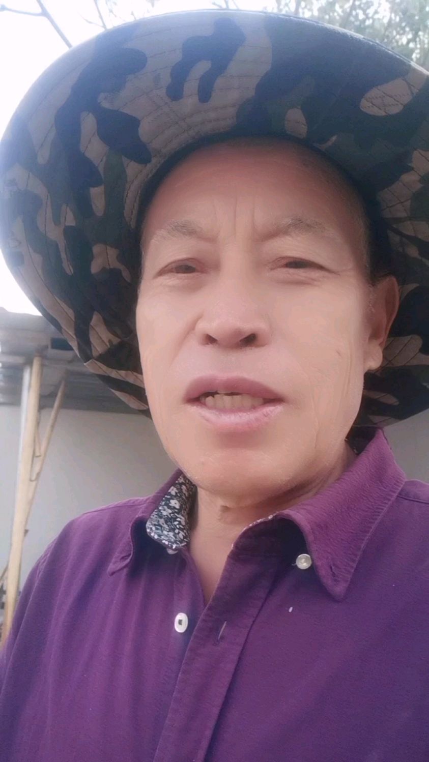 老家春天特有的美味洋槐花,清香四溢,一菜多吃百吃不厌