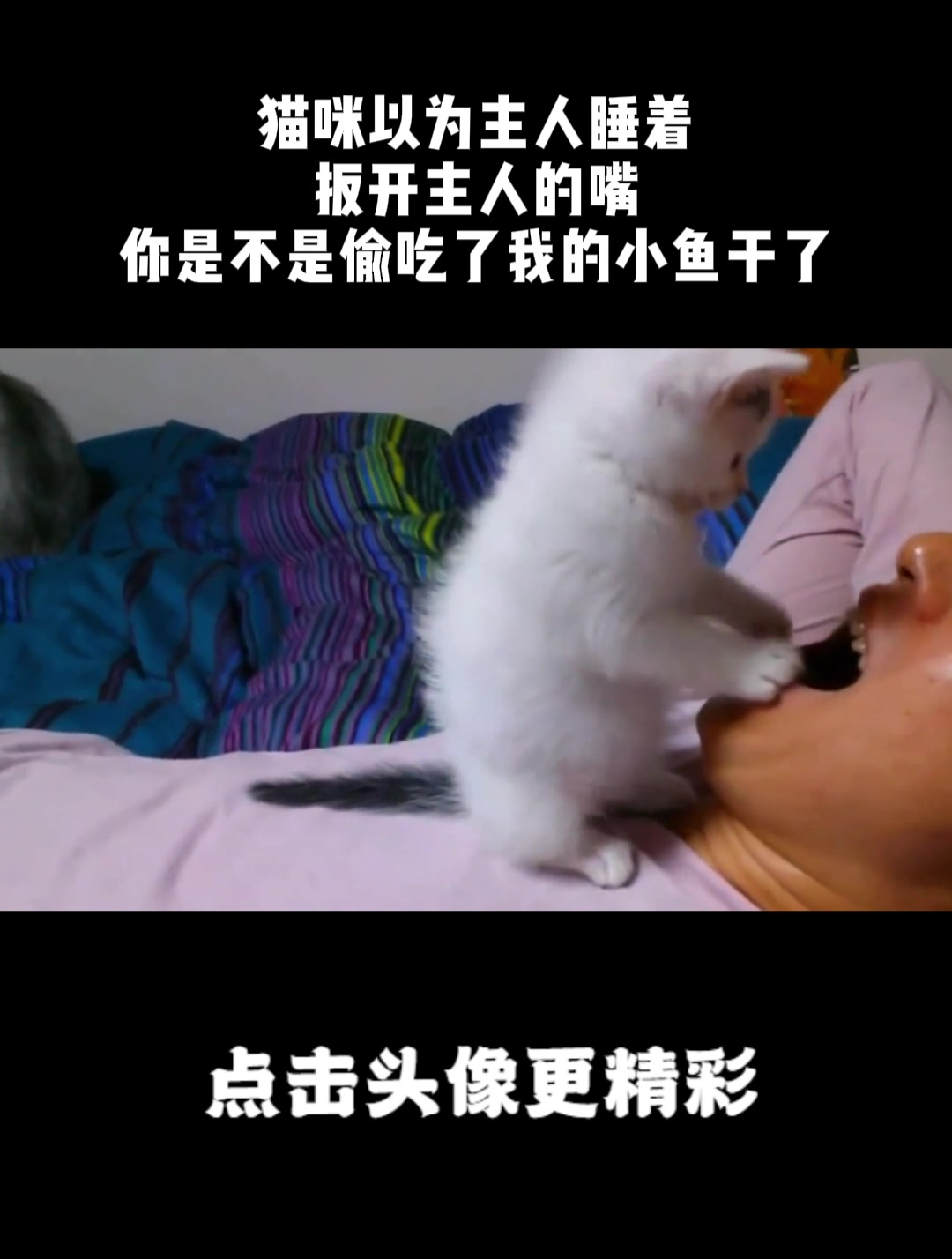 猫咪以为主人睡着,扳开主人的嘴:你是不是偷吃了我的小鱼干了?