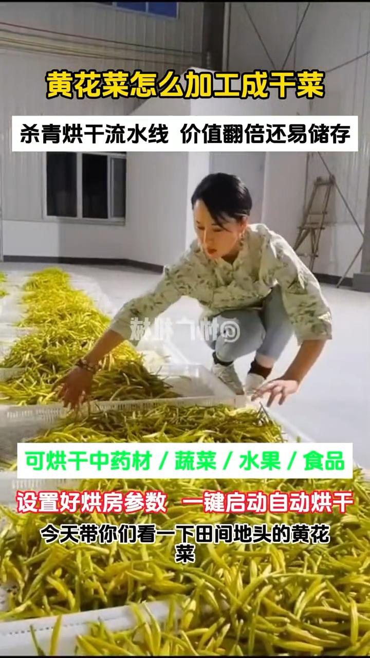 黄花菜怎么加工成干菜的