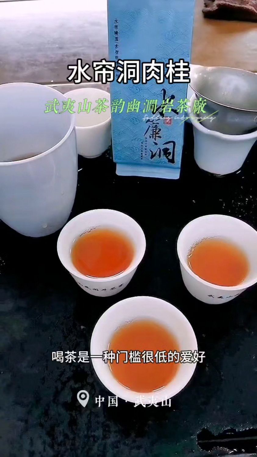武夷山核心山场水帘洞肉桂#武夷山茶韵幽涧岩茶厂