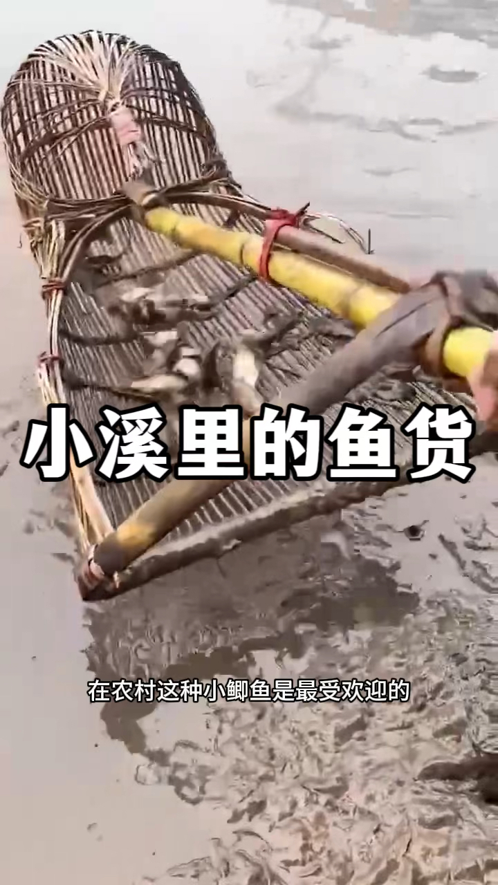 小溪里的鱼货,结局亮了