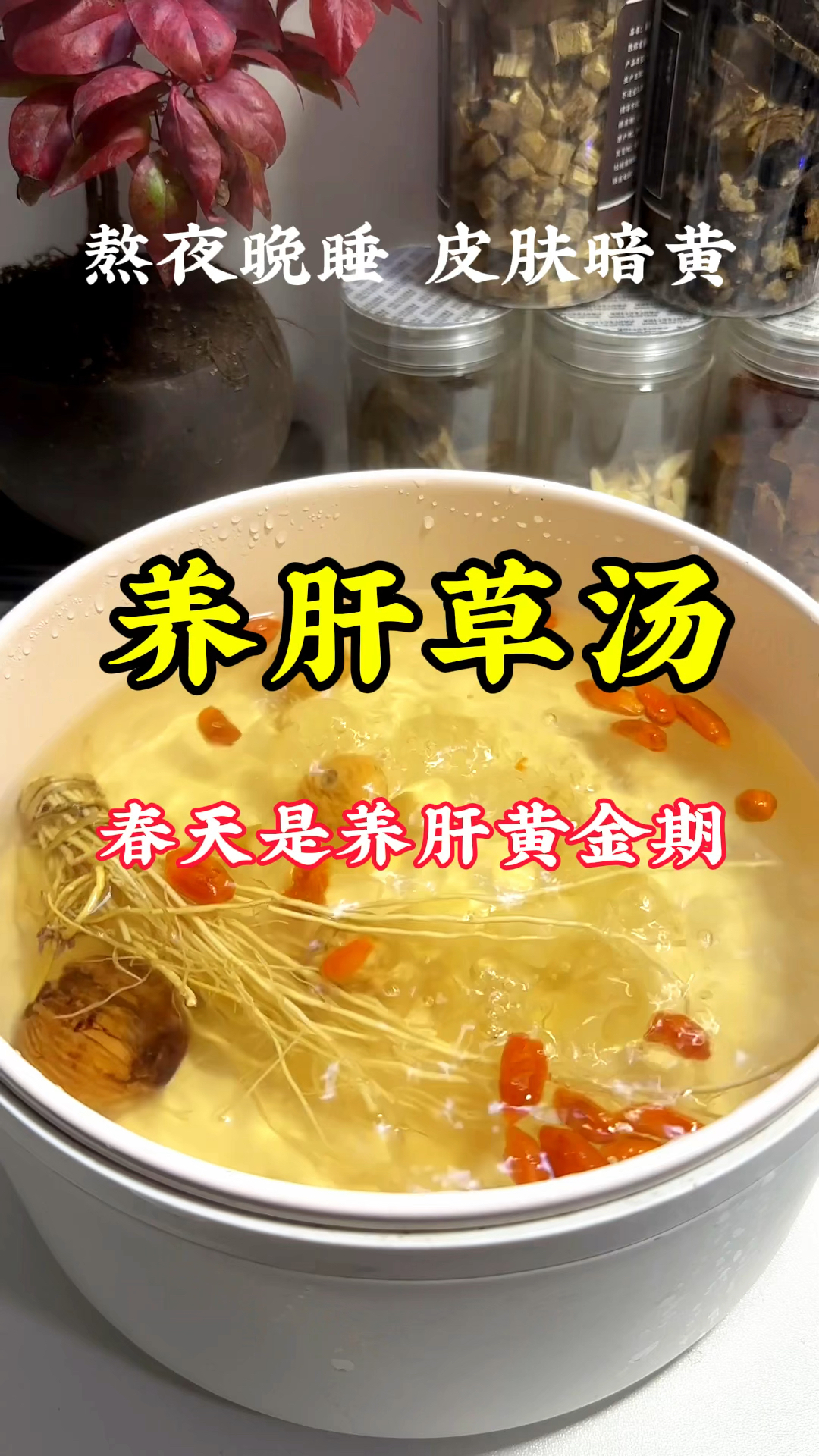 养肝草汤,熬夜党家中常备