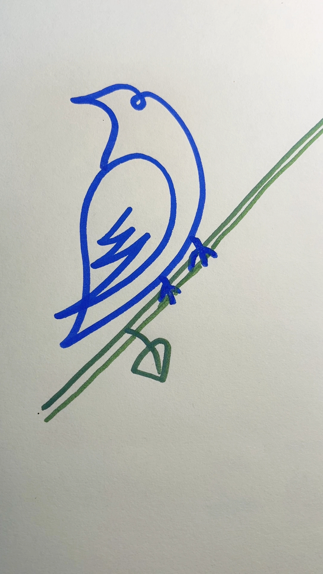 一学就会的小鸟简笔画,大家一起画起来吧