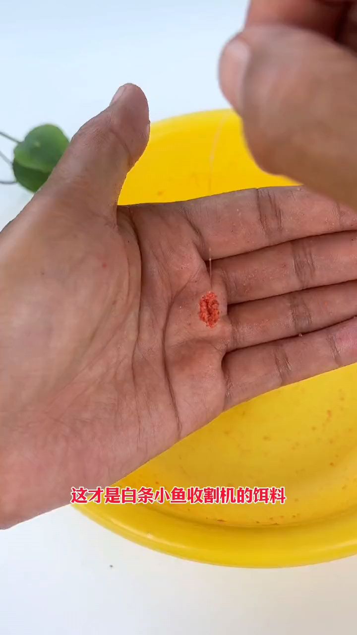 鲜腥味型浓郁的白条饵料,能把白条马口都诱过来,让你下竿就中鱼