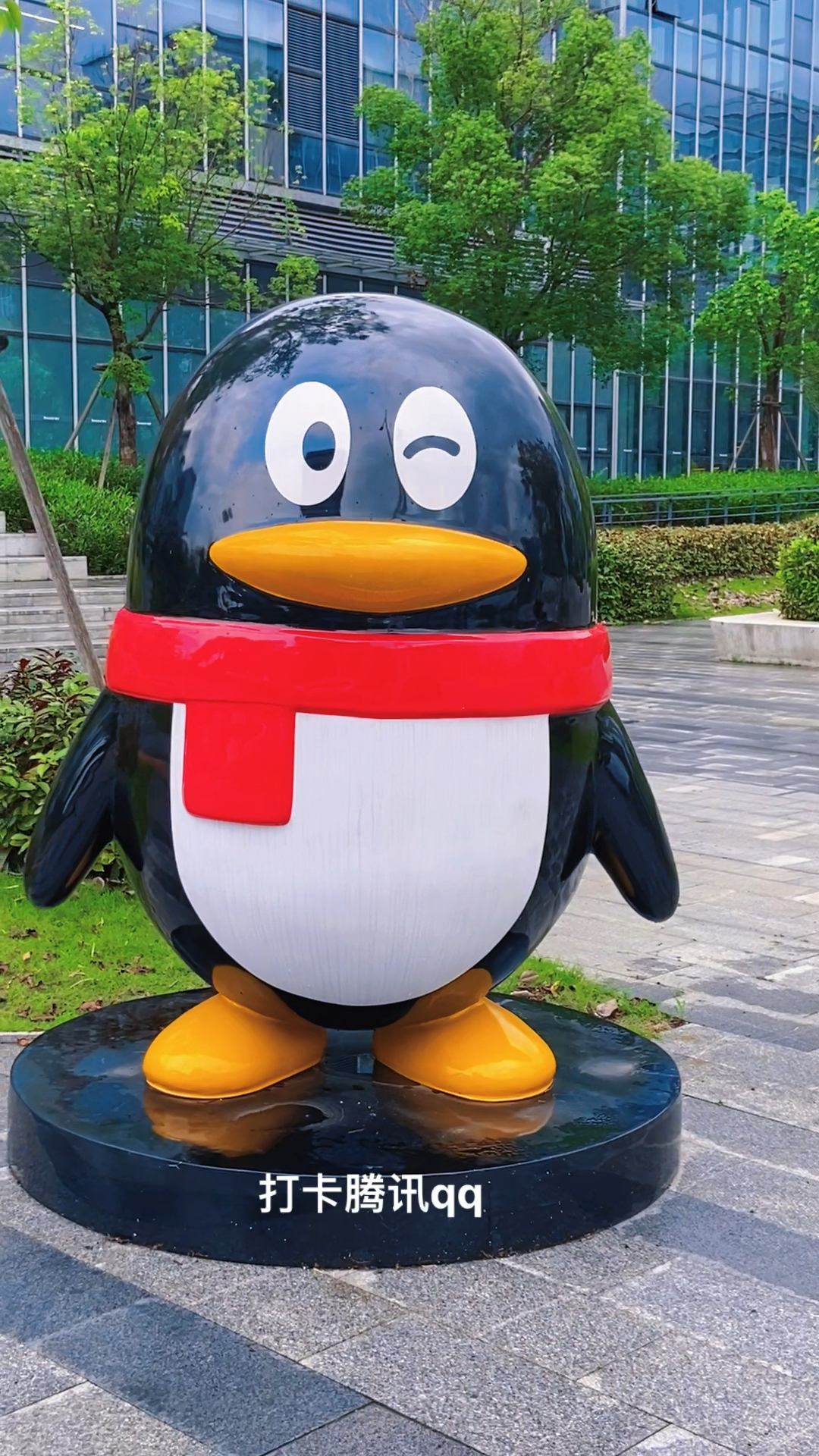 打卡腾讯qq头像好可爱