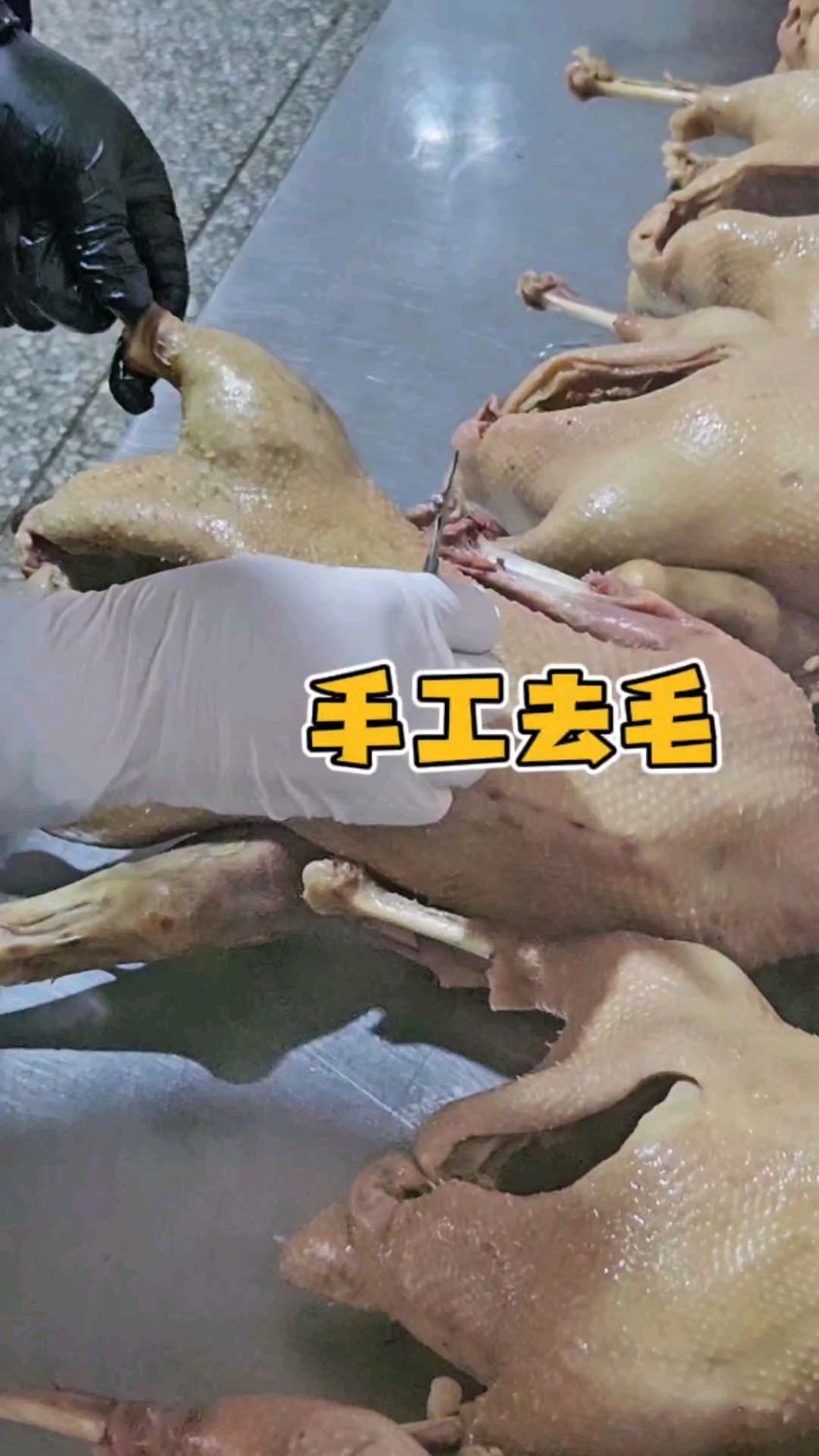 手工去毛,正宗的扬州老鹅怎么做?