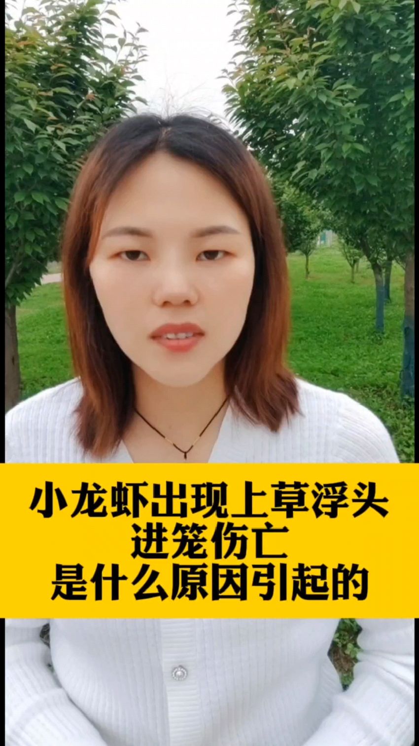 小龙虾出现上草浮头进笼伤亡是什么原因引起的