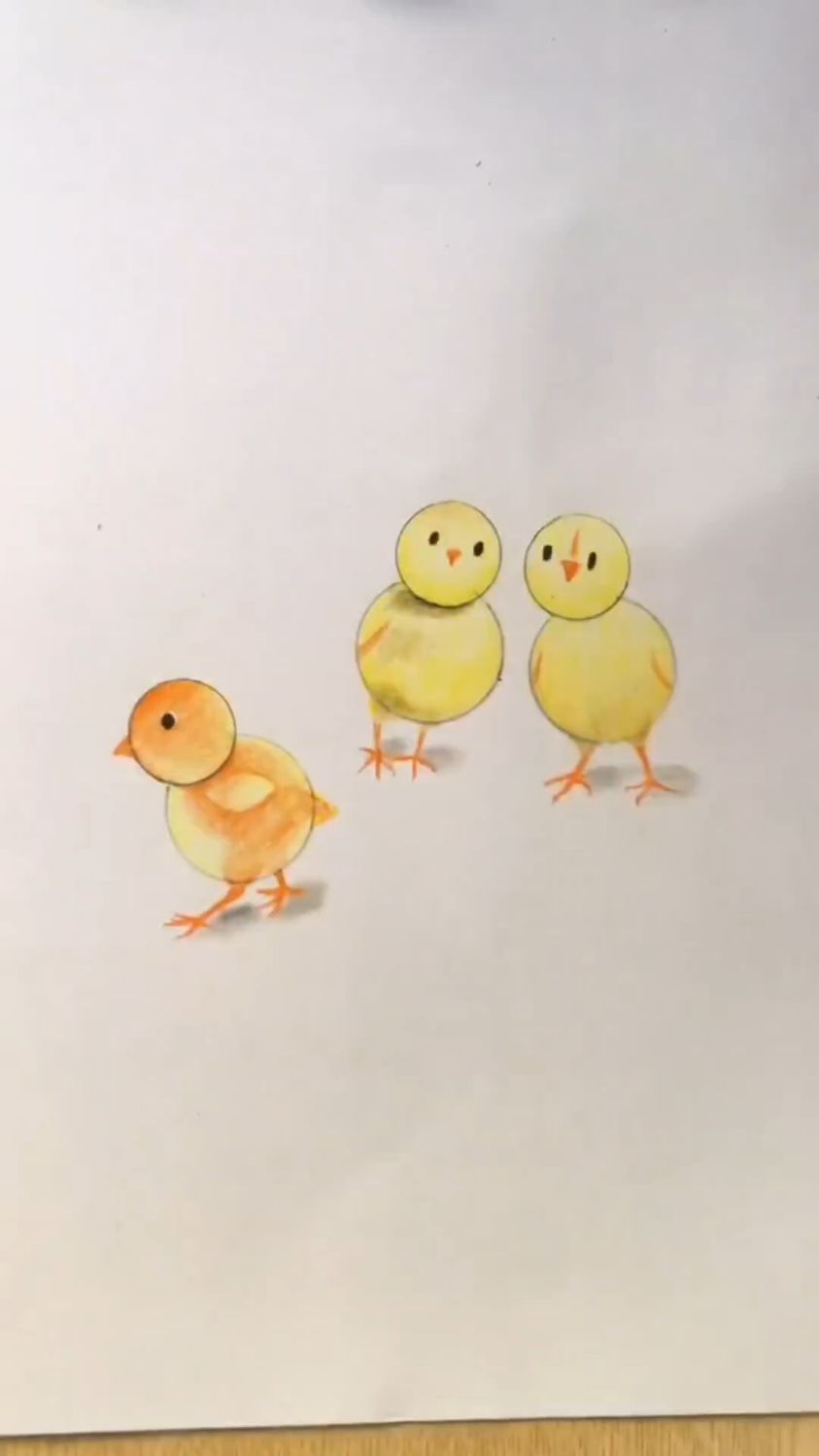 彩铅简笔画小鸡画法步骤分享