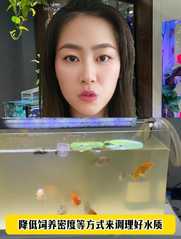 鱼缸里一股子腥臭味,该如何处理呢