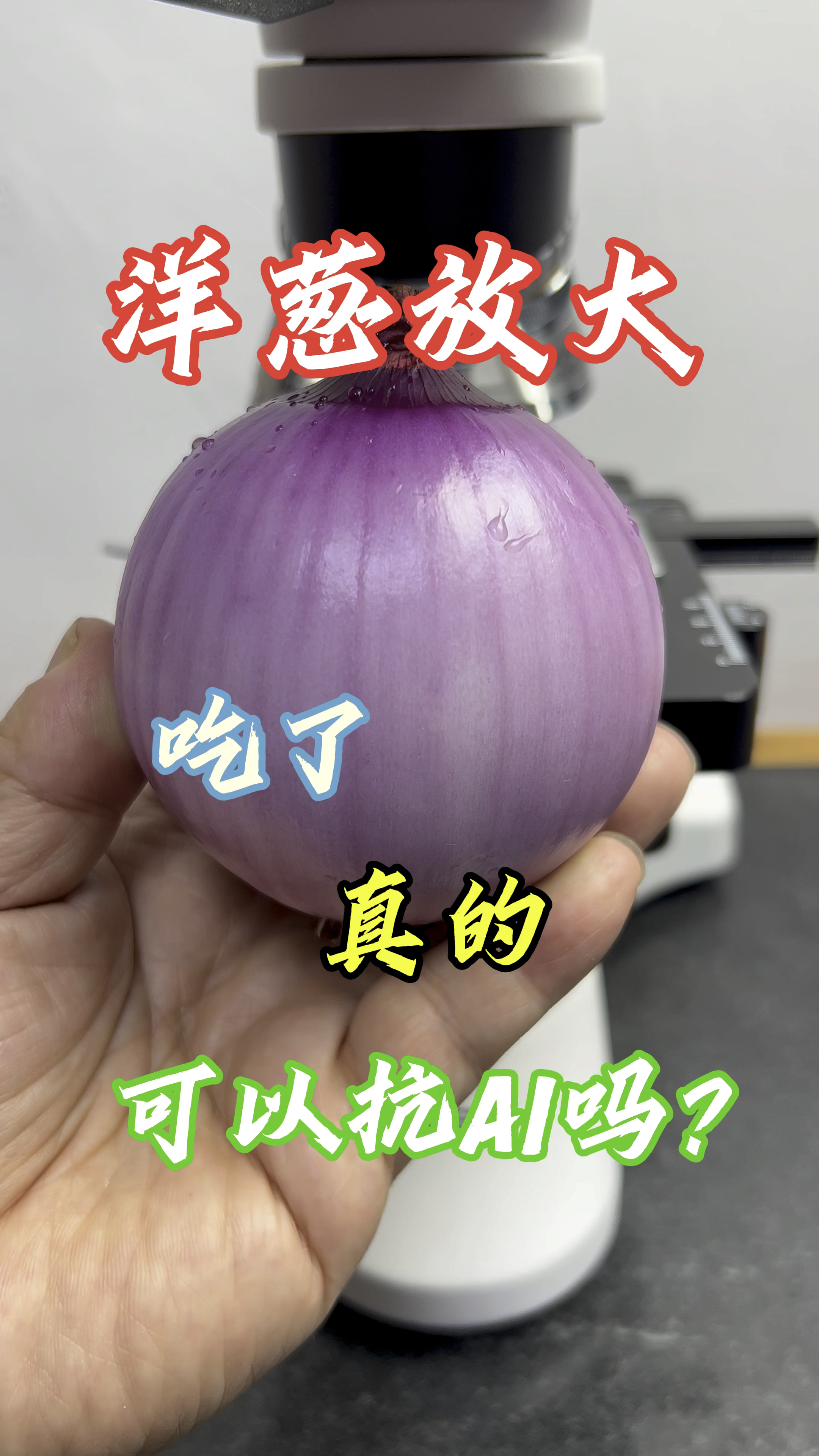 洋葱吃了真的有那么多好处吗?#科普 #显微镜#带你走进微观世界