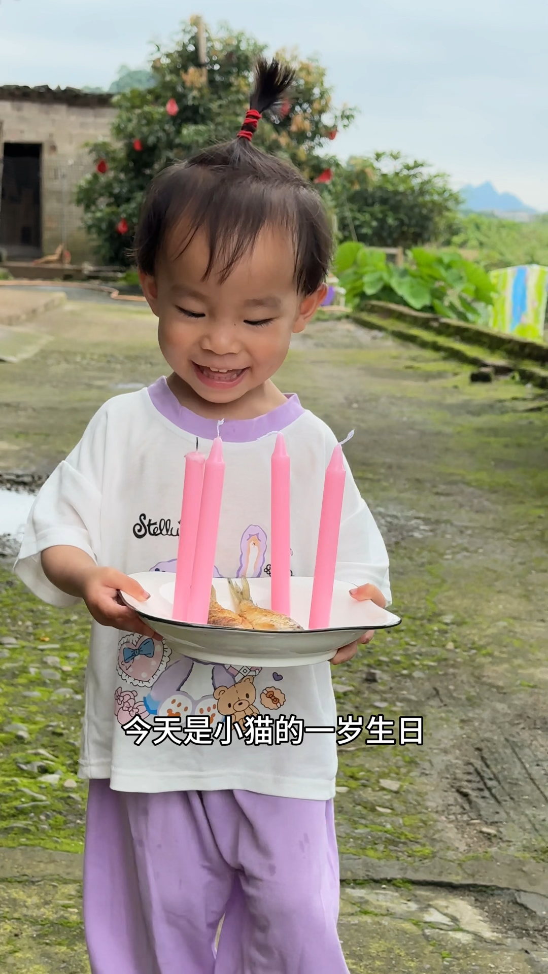 今天是小猫的一岁生日,特地给他做了一个生日蛋糕