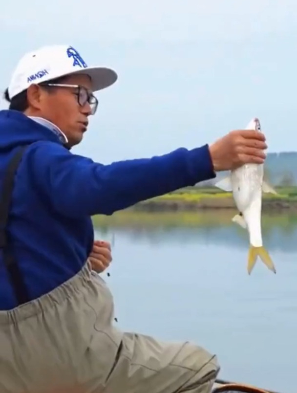 钓黄尾该用什么饵料?老钓手提醒:牢记这几点就够了!