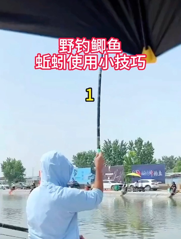 野钓鲫鱼用蚯蚓,这3个小技巧要牢记!