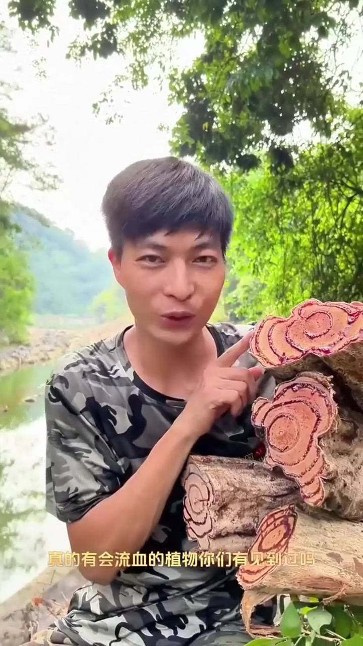 广西野生鸡血藤老藤中药材草药