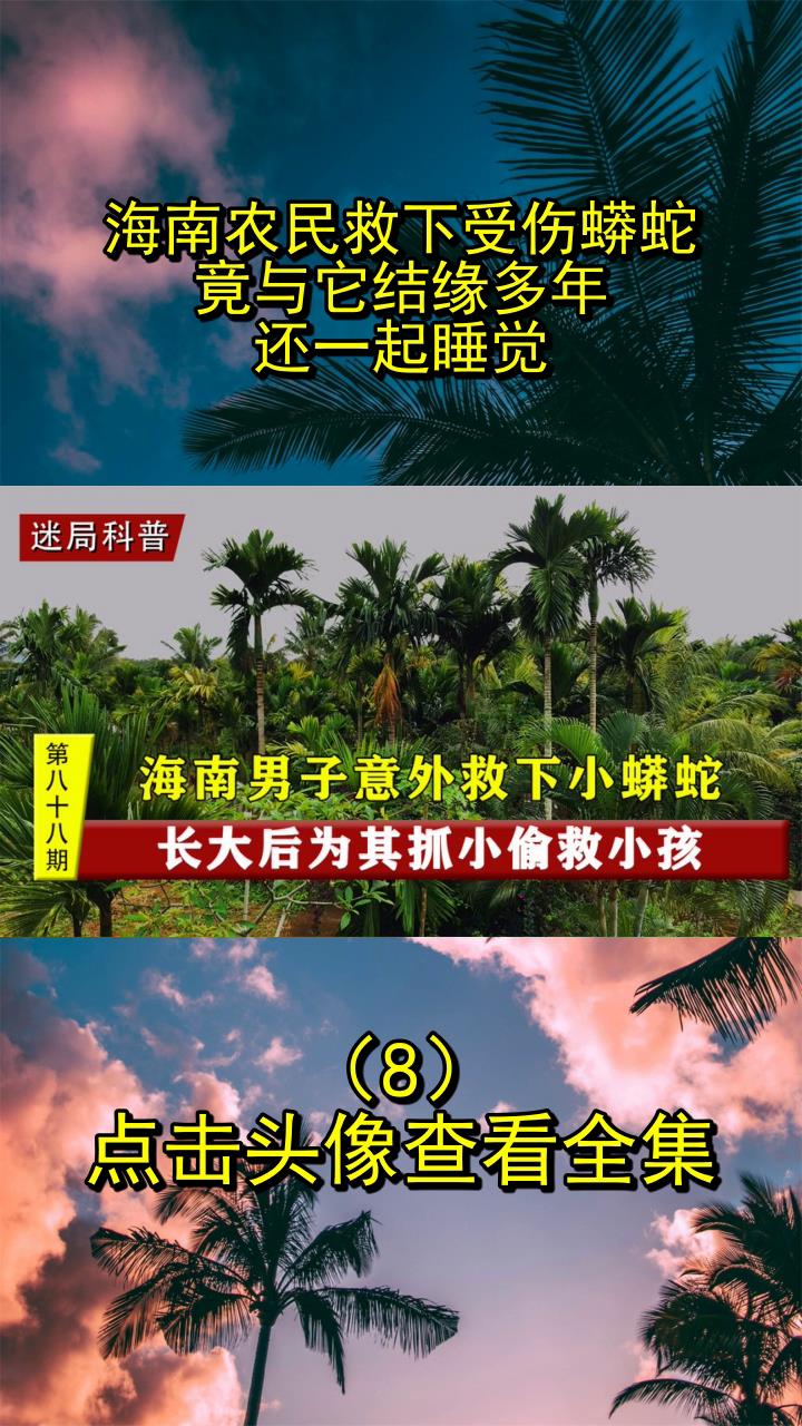 海南农民救下受伤蟒蛇,竟与它结缘多年,还一起睡觉!8