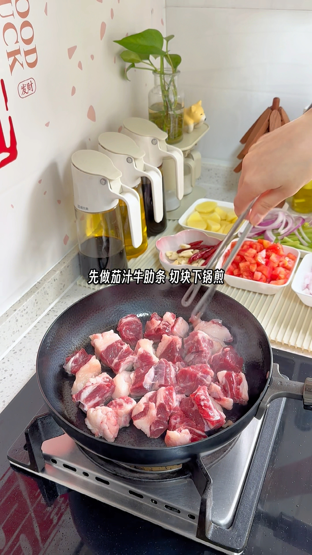 在家做饭好治愈,茄汁牛肋条、干锅鸡翅虾,真美味