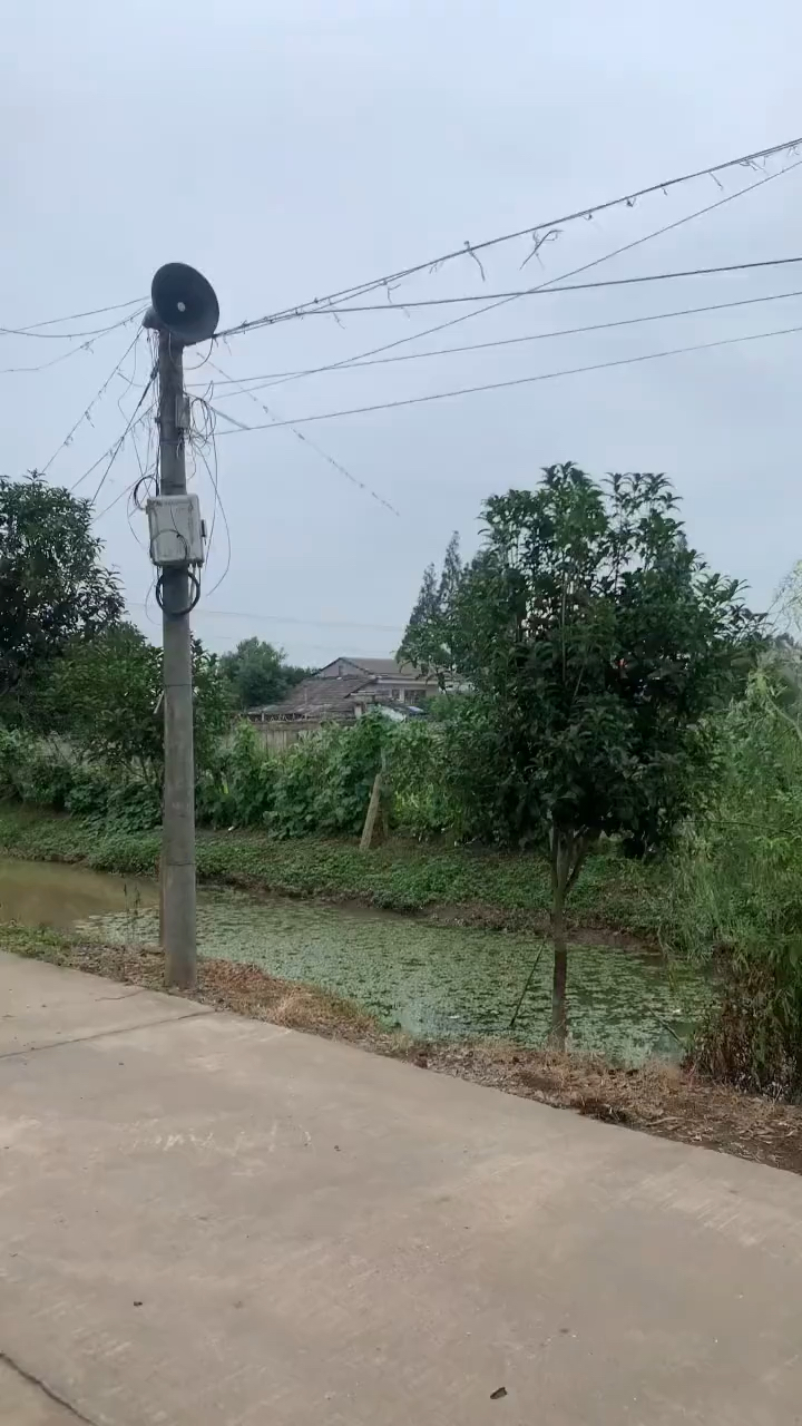 今天教大家看一下甲鱼公母