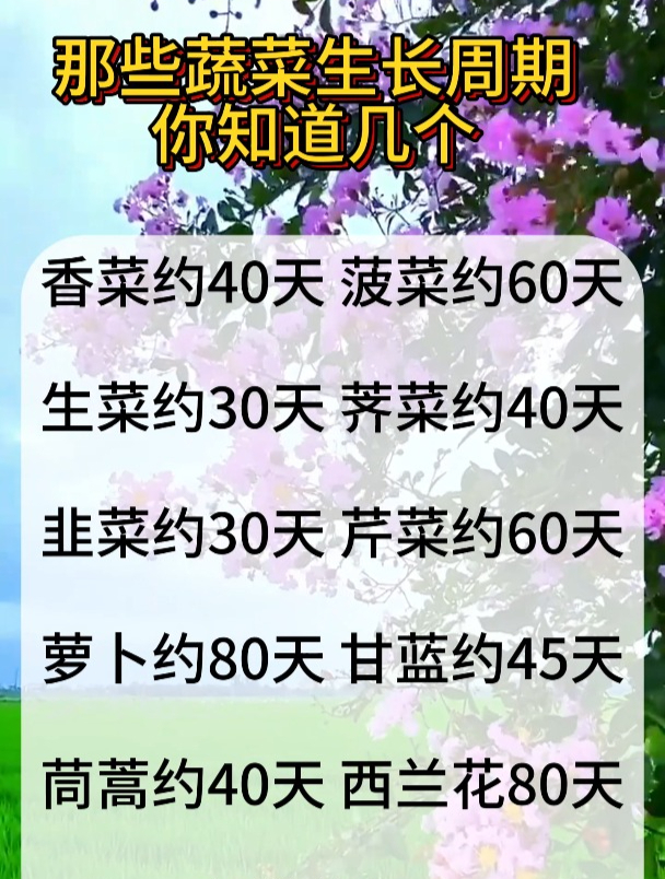 蔬菜的生长周期,你知道几个?