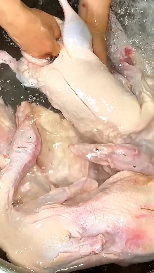 广东脆皮烧鸭冰冻鸭食材处理方法