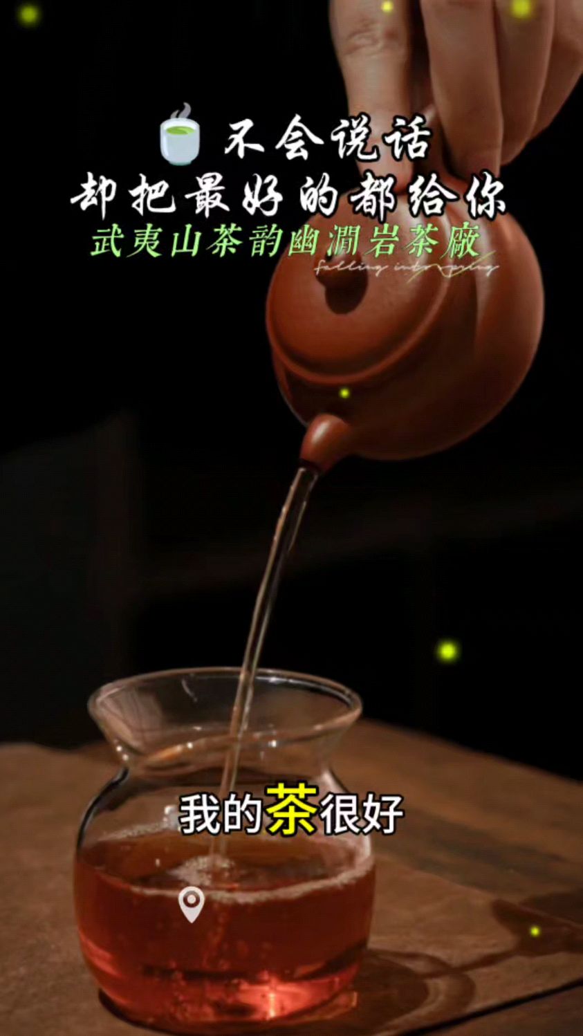 茶不会说话却把最好的都给你|武夷山岩茶大红袍水仙肉桂正岩茶