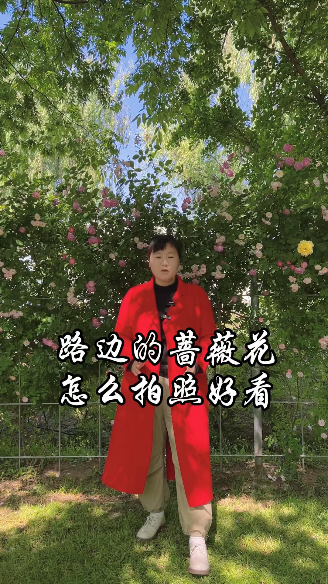 路边的蔷薇花怎么拍照片好看