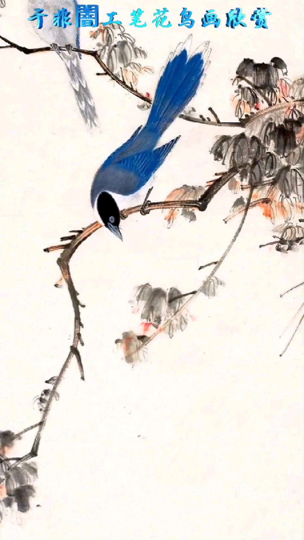 著名画家于非闇工笔花鸟画欣赏