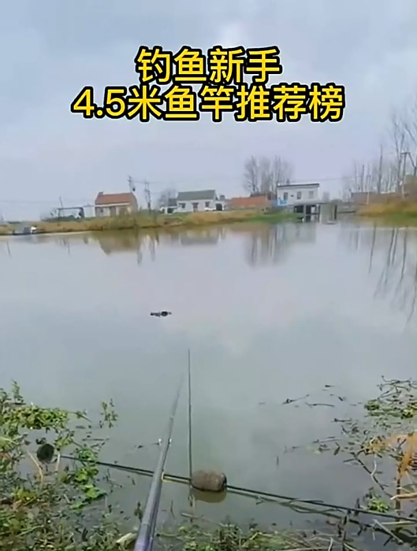 10款4.5米鱼竿,究竟哪一种更好用?
