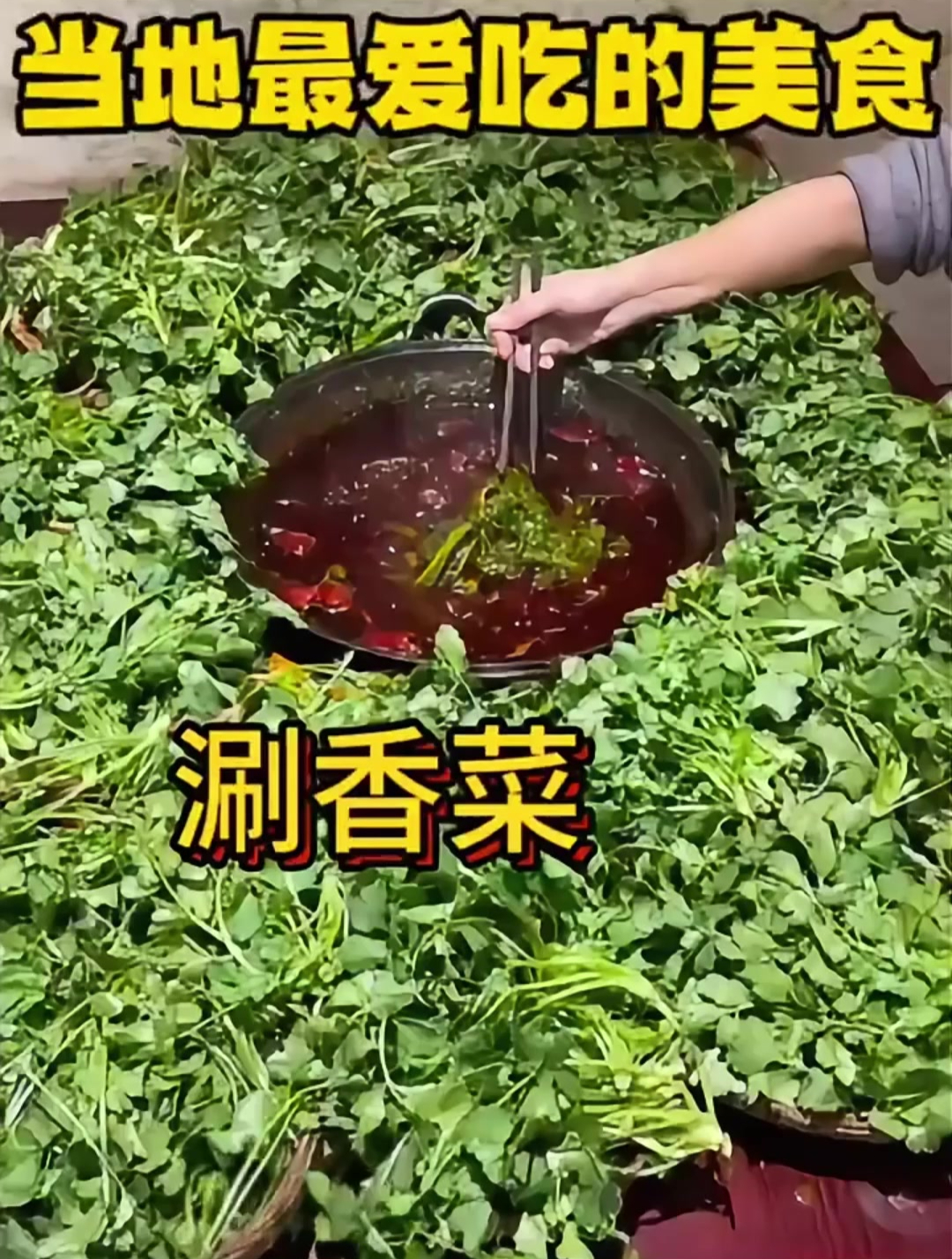 当地人最爱吃的美食!涮香菜!