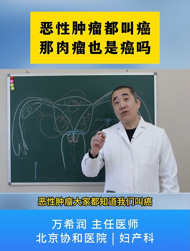 恶性肿瘤都叫癌那肉瘤也是癌吗?