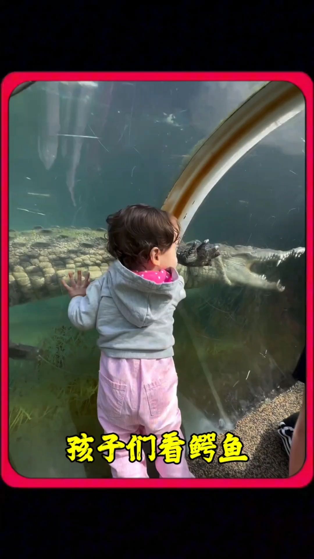 几个小孩来看海洋馆鳄鱼