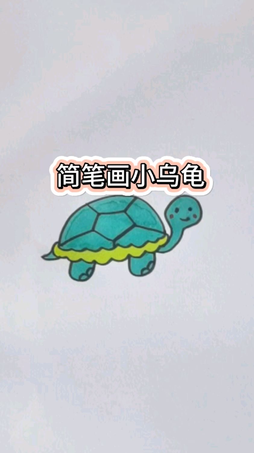 简笔画教程小乌龟