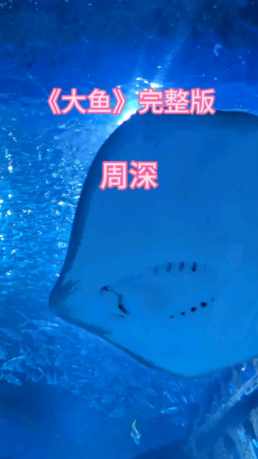 《大鱼》完整版 周深