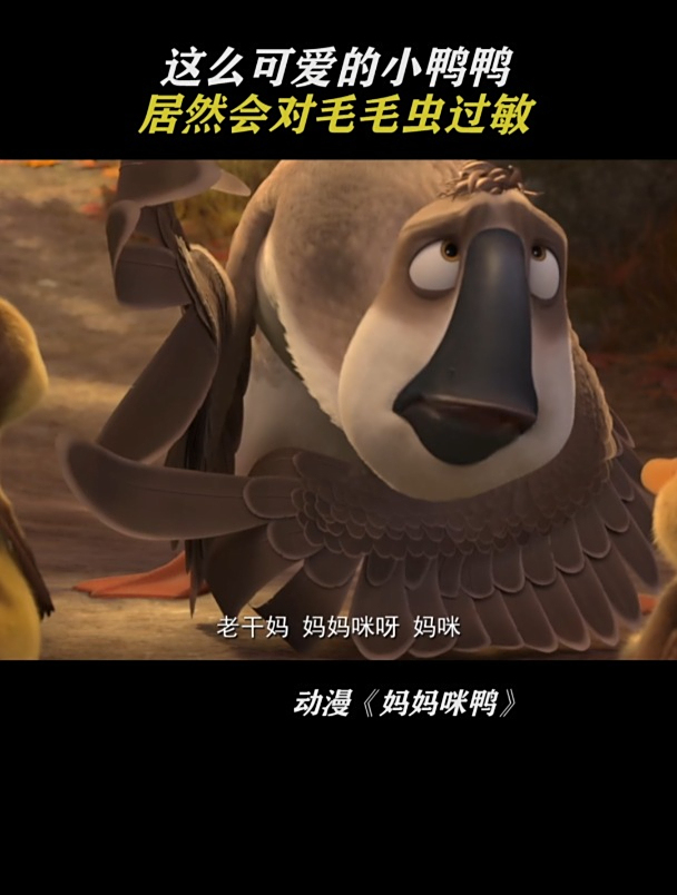 妈妈咪鸭:这么可爱的小鸭鸭 居然会对毛毛虫过敏