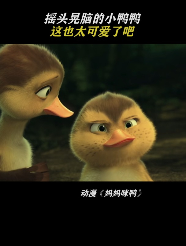 妈妈咪鸭:摇头晃脑的小鸭鸭 也太可爱了吧