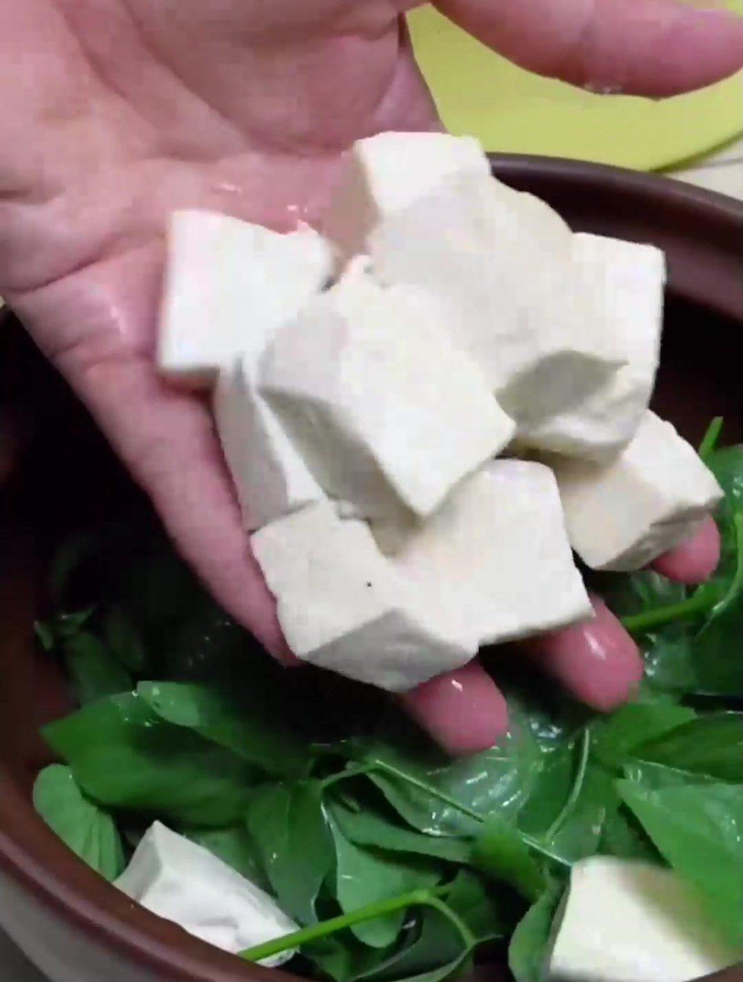 狗肝菜炖白豆腐汤