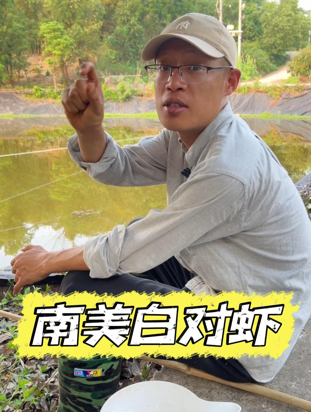还有人不知道吗?南美白对虾