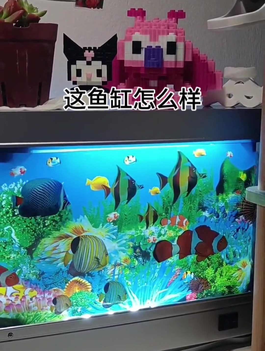 看电子鱼缸,享机械人生