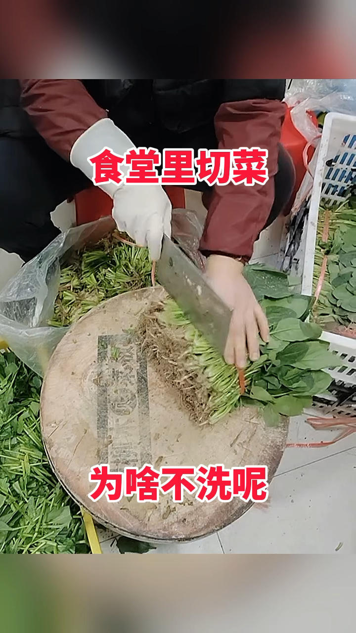 食堂里切菜,为啥不洗呢!